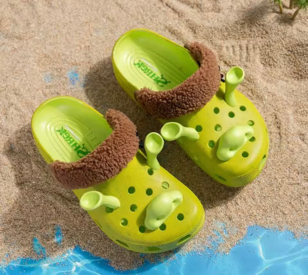 Crocs de Shrek