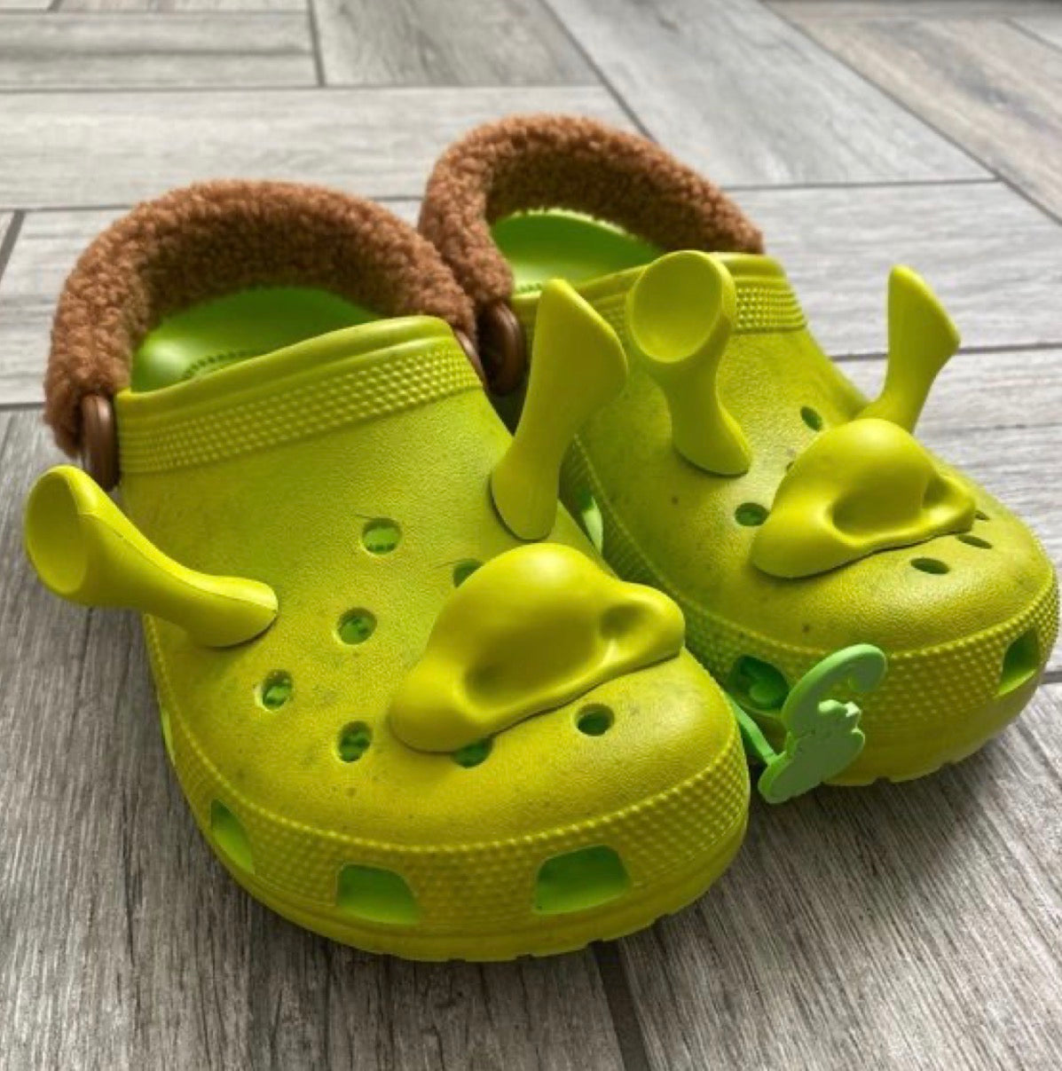 Crocs de Shrek
