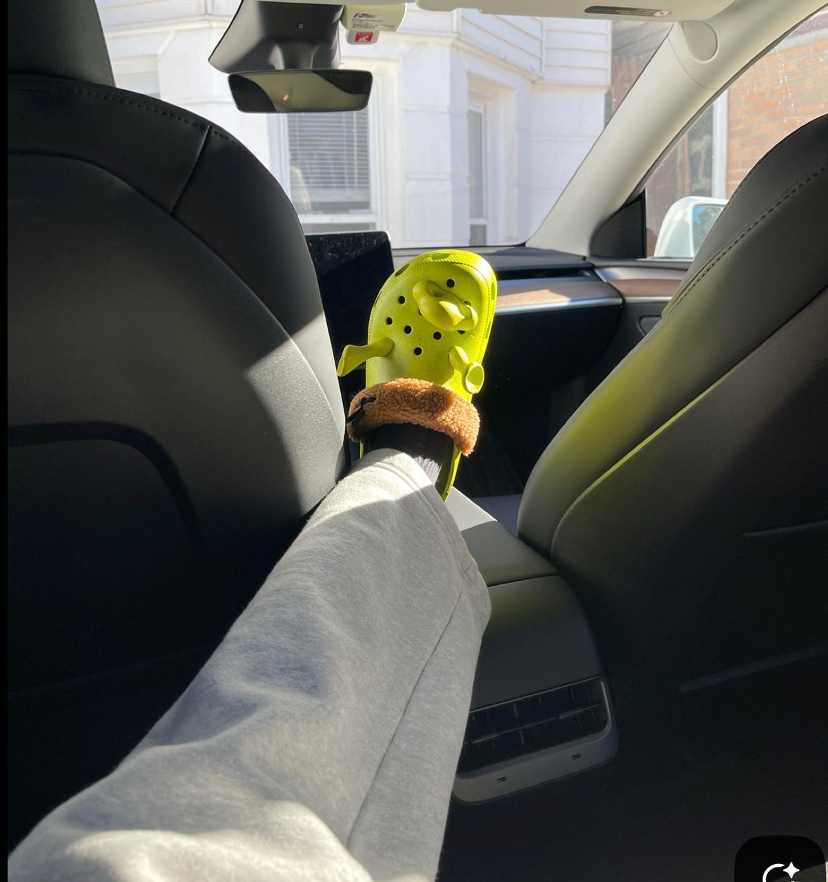 Crocs de Shrek