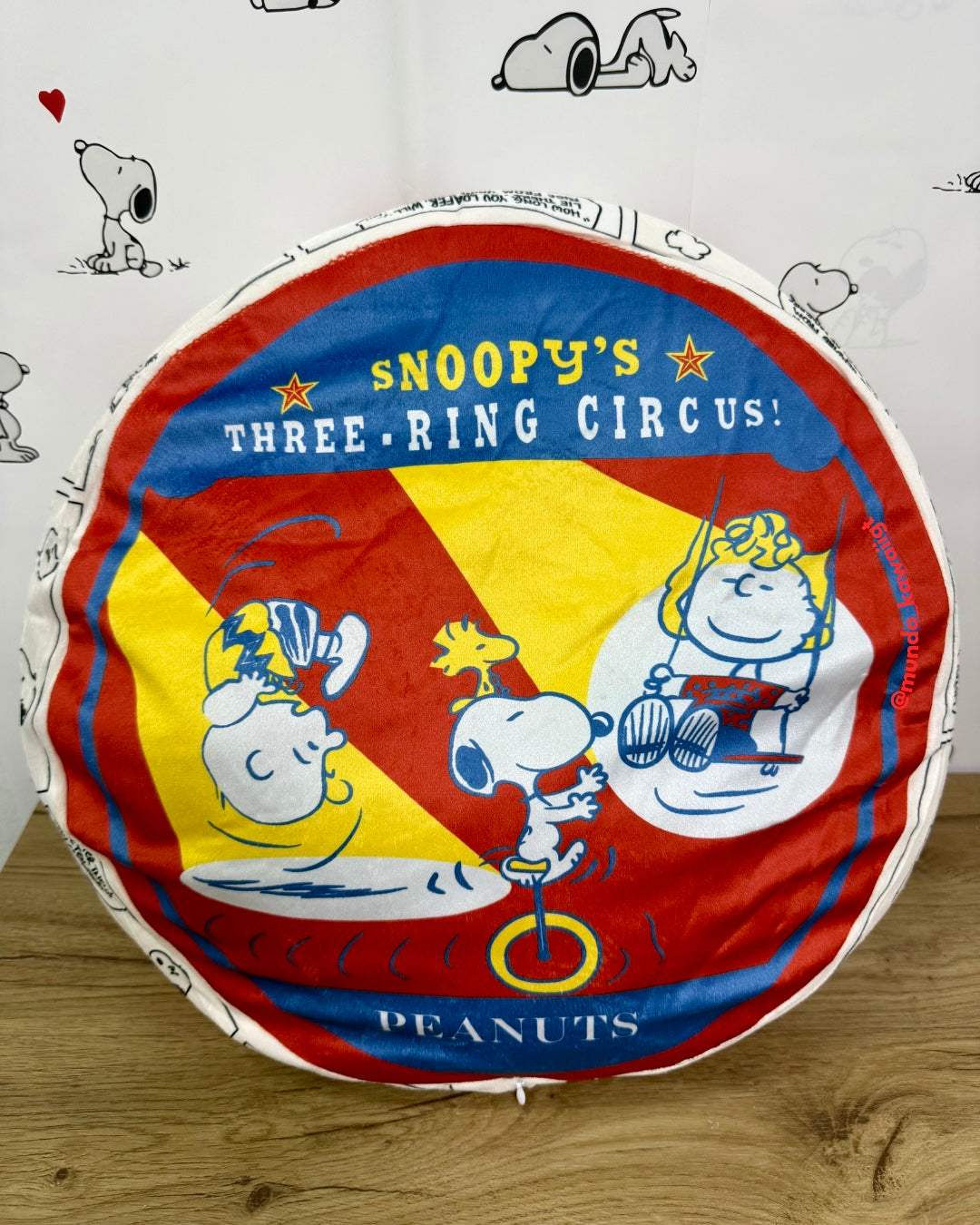 Almohadones Redondos Snoopy