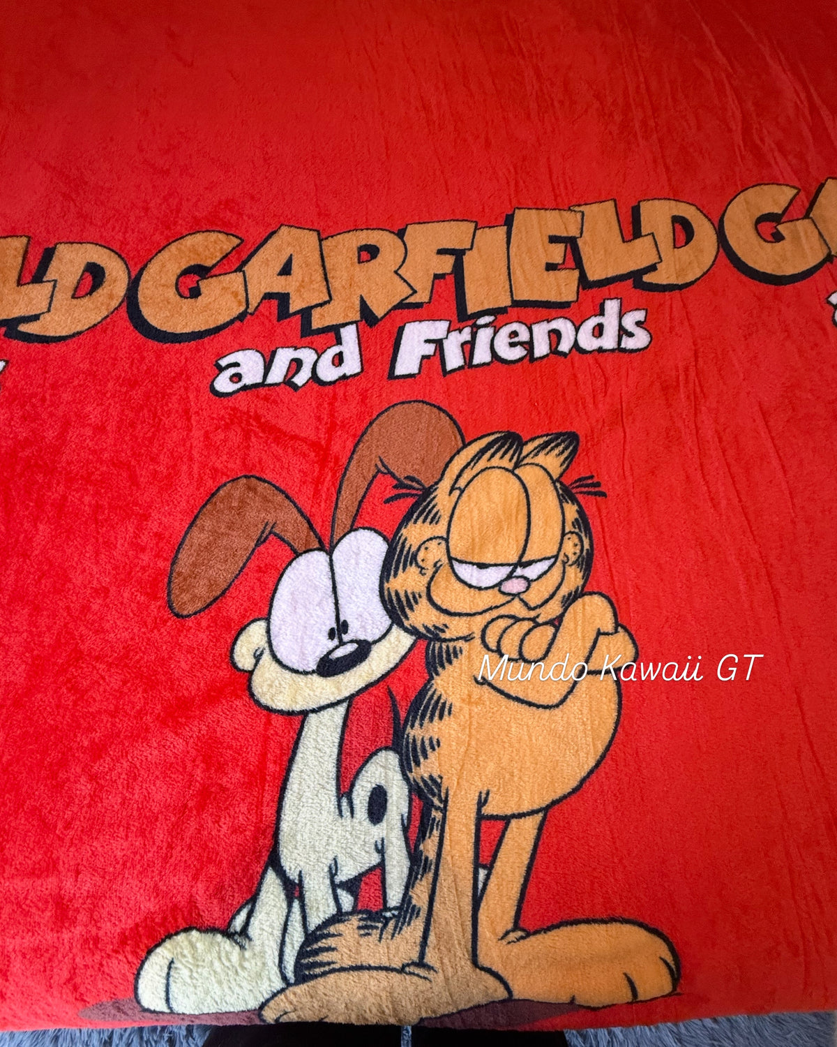 Frazada Matrimonial Garfield & Friends