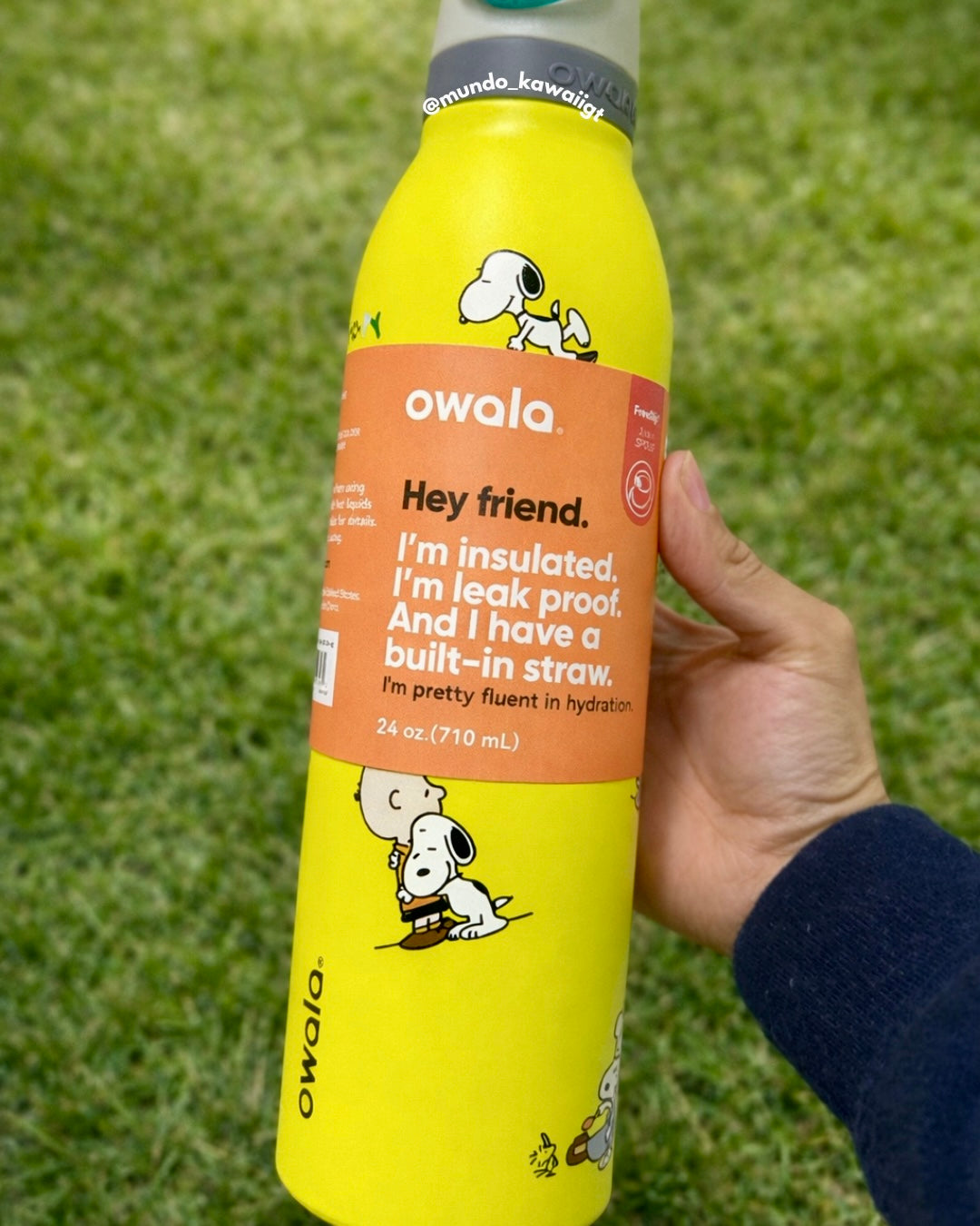 Botellas tipo Owala con diseño Snoopy