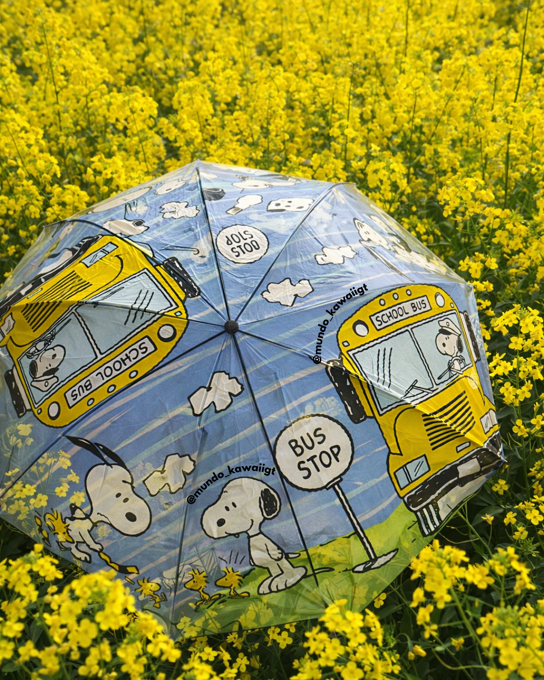 ☂️ Sombrillas Snoopy (6 estilos)